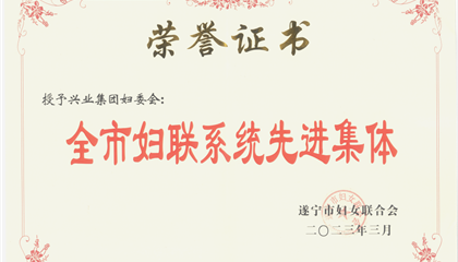 喜報(bào)！興業(yè)集團(tuán)婦委會(huì)榮獲“全市婦聯(lián)系統(tǒng)先進(jìn)集體”榮譽(yù)稱(chēng)號(hào)